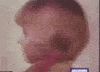 Mrjey's Avatar