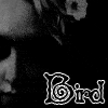 PaltryBird's Avatar