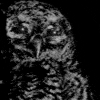 huissiba's Avatar