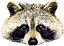 diaduh's Avatar