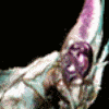 glissando's Avatar