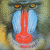 Boex's Avatar