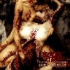 shy.serialkiller's Avatar