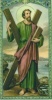 sstandrew's Avatar