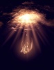 fallen angel's Avatar
