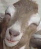 chellzy73's Avatar