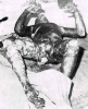 NapalmShmapalm's Avatar