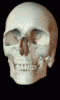 CharlieInTexas's Avatar