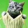 lunacy_prevails's Avatar