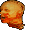 Brandouche's Avatar