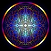 moko239's Avatar