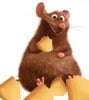 rascoil's Avatar