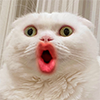 Marximus Shork's Avatar