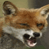 Mason_Verger's Avatar