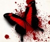 StingingButterfly's Avatar