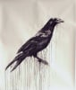 4n20blackbirds's Avatar
