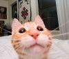 mozilogy's Avatar