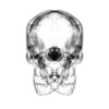 Chrome's Avatar