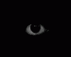 Garitee's Avatar