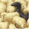 netherbones's Avatar