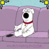 Taz_Devil's Avatar