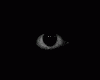 NoName-NoSlogan's Avatar