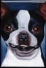 Spahnranch's Avatar