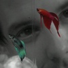 max_spencer's Avatar