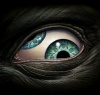 MetalDeath77's Avatar