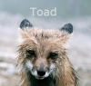 imToad's Avatar