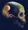 hookerwithapenis's Avatar