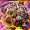 fapfapfap's Avatar