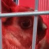 fapfapfap's Avatar