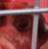 fapfapfap's Avatar