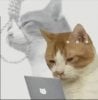Eat Shit And Die's Avatar