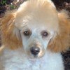 LaRue's Avatar