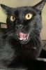 one-nosey-chick's Avatar
