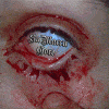 SuMaccu's Avatar