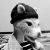 glum.exe's Avatar