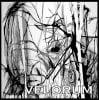 Velorum's Avatar