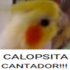Nesscas's Avatar