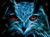 H00T's Avatar