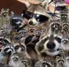 Leonfreak17's Avatar