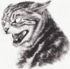Aurelius's Avatar