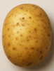 GratisPotatis's Avatar