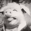kaveman1969's Avatar