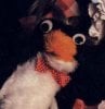 MrFlibble's Avatar