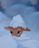 winter's Avatar