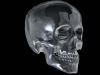 NailgunDeath's Avatar