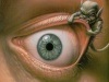 SEEKER's Avatar
